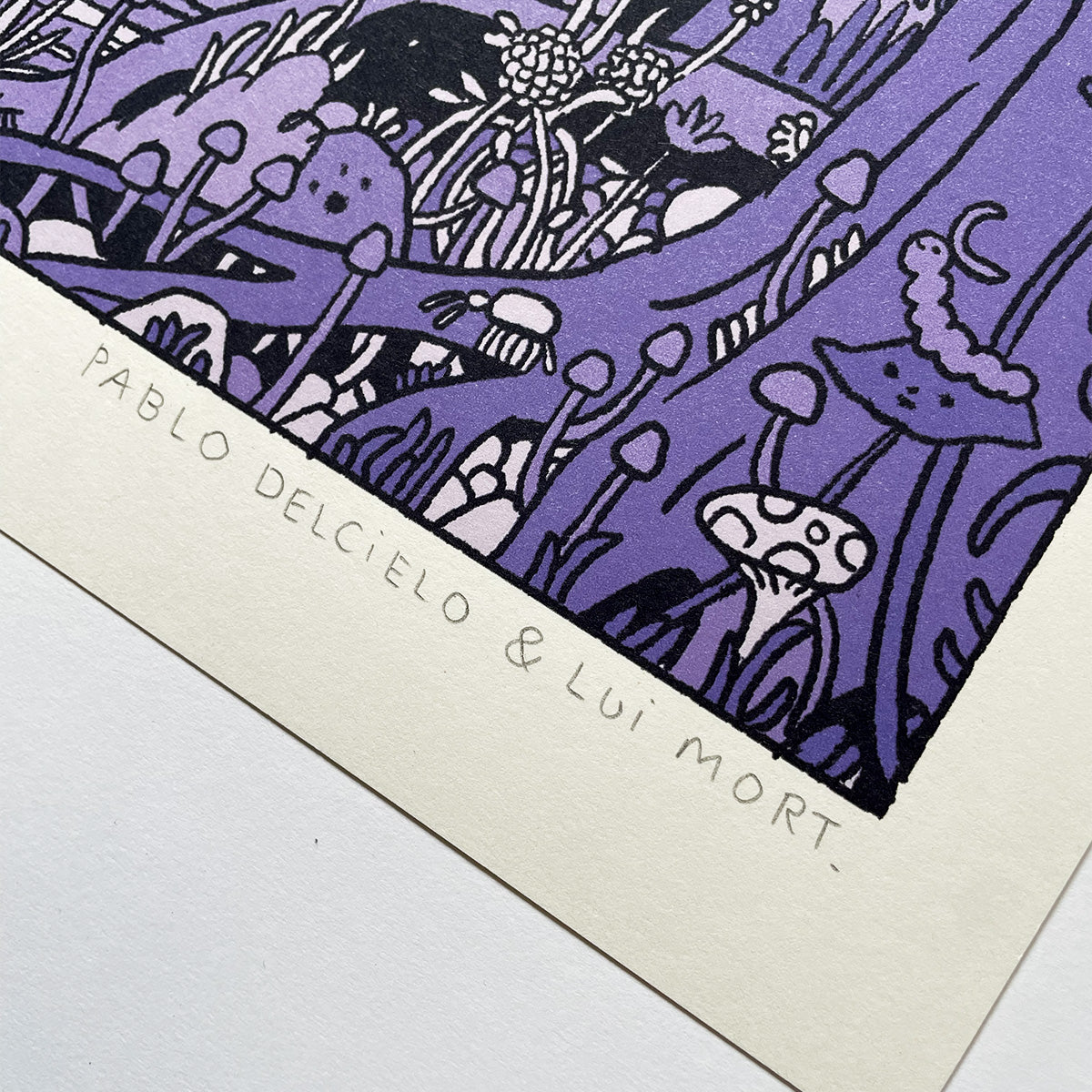 Visualiza el Colapso