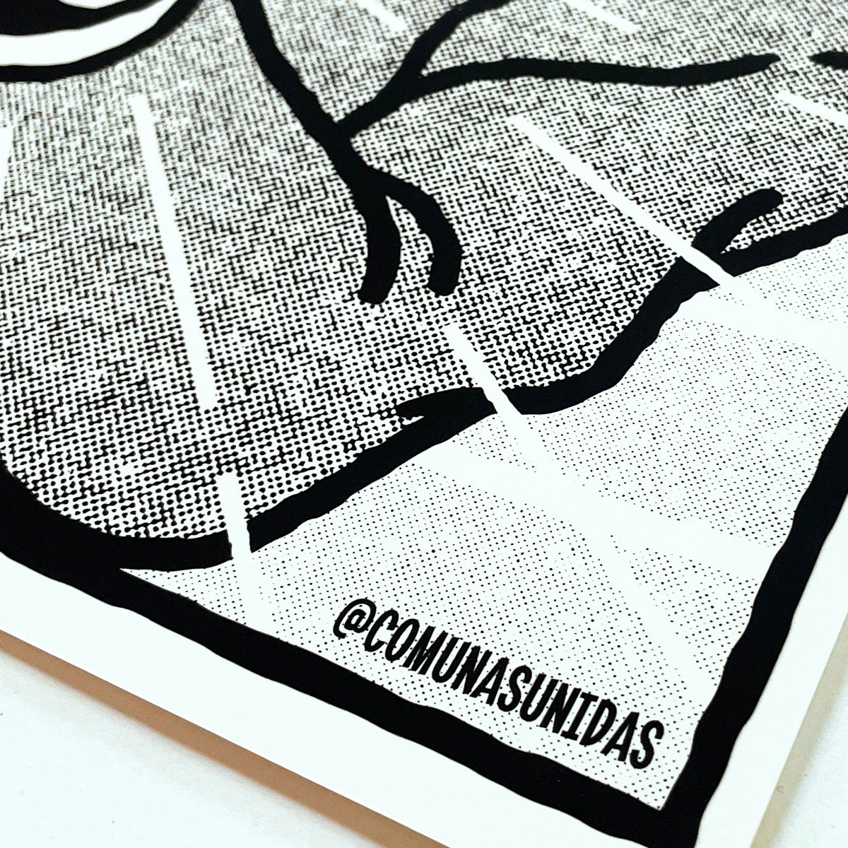 Primavera Fauna 2025 : Yo la tengo